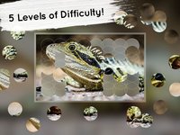 Venn Lizards: Jigsaw Puzzle screenshot, image №1788560 - RAWG