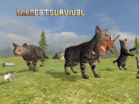 Wild Cat Survival screenshot, image №975980 - RAWG