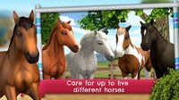 HorseWorld: Show Jumping Premium screenshot, image №1521503 - RAWG