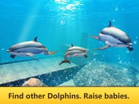 Ocean Dolphin Simulator: Animal Quest 3D screenshot, image №1625902 - RAWG