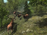 VR Zoo Animals Roller Coaster screenshot, image №3169213 - RAWG