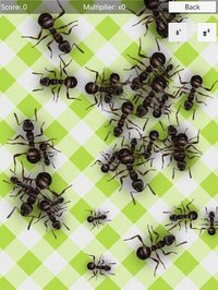 No More Ants (free) - squash screenshot, image №1546816 - RAWG