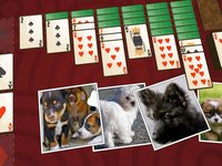 Solitaire Puppies screenshot, image №1330798 - RAWG