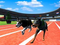 Crazy Racing Dog Simulator screenshot, image №1678624 - RAWG