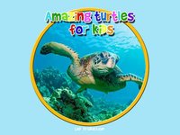 amazing turtles for kids - free screenshot, image №1866749 - RAWG