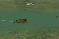 Reel Fishing Challenge screenshot, image №788967 - RAWG