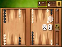 Backgammon King screenshot, image №907308 - RAWG