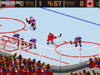 World Hockey '95 screenshot, image №336542 - RAWG