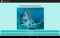 Underwater Puzzle Free screenshot, image №1459918 - RAWG