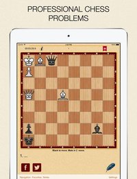 Mate in 2? OK! v.3 screenshot, image №1742418 - RAWG