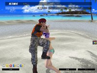 Dead or Alive Online screenshot, image №480231 - RAWG