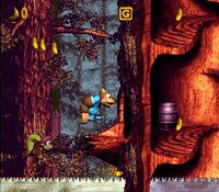 Donkey Kong Country 3: Dixie Kong's Double Trouble screenshot, image №822708 - RAWG