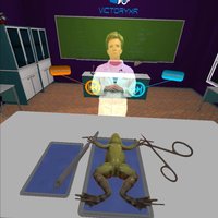 VR Frog Dissection: Ribbit-ing Discoveries screenshot, image №2300062 - RAWG