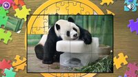 Animal World Puzzles screenshot, image №3204312 - RAWG