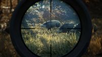 theHunter: Call of the Wild screenshot, image №69641 - RAWG