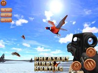 Pheasant Bird Hunting Pro screenshot, image №1993619 - RAWG