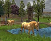 Wildlife Park 2 - Horses screenshot, image №151711 - RAWG