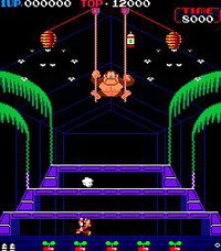 Donkey Kong 3 screenshot, image №735396 - RAWG