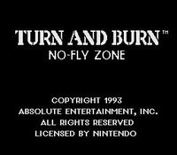 Turn and Burn: No-Fly Zone screenshot, image №763149 - RAWG