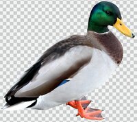 Duck Simulator 2029 DEMO screenshot, image №3597361 - RAWG