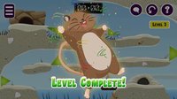 Gerbil Peril! screenshot, image №2159859 - RAWG