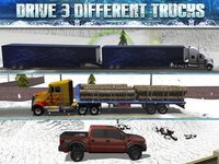 Truck Parking Simulator - Ice Road Truckers Edition screenshot, image №918941 - RAWG