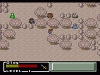 Final Fantasy Mystic Quest (1992) screenshot, image №761650 - RAWG