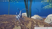 Shrimp Keeping Simulator screenshot, image №4164252 - RAWG