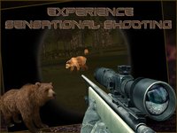 Wild Bear Hunter 2016: Jungle Beast Hunting Simulation 3d: full fun free game screenshot, image №1615631 - RAWG
