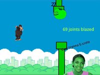 Flappy Ape MLG MEME edition screenshot, image №2144183 - RAWG