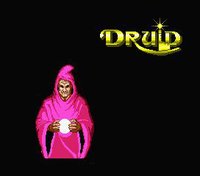 Druid (1986) screenshot, image №754683 - RAWG