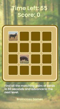Mind Cards (Braincross) screenshot, image №2901944 - RAWG