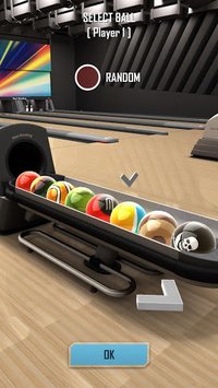 Real Bowling 3D FREE screenshot, image №1565176 - RAWG