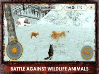 Wild Wolf Attack Simulator 3D – Live life of an alpha and take revenge for your clan screenshot, image №919856 - RAWG