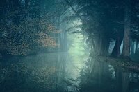 A Forest for Brother screenshot, image №3159576 - RAWG
