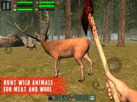 The Survivor: Rusty Forest screenshot, image №26813 - RAWG