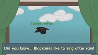 Birdwatching screenshot, image №3591876 - RAWG