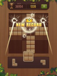 Wood Block Puzzle: Brain Game screenshot, image №3064277 - RAWG