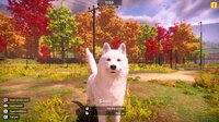 Animal Shelter 2 screenshot, image №4234330 - RAWG