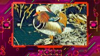 Twizzle Puzzle: Birds screenshot, image №4005967 - RAWG