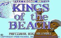 Kings of the Beach screenshot, image №736451 - RAWG