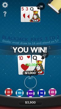 Blackjack 21 screenshot, image №1374675 - RAWG