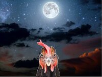 Dark Poule screenshot, image №2785783 - RAWG