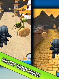 Ninja Run - Dash And Jump For Fruit - Watch Out For Deadly Insects! screenshot, image №2122688 - RAWG