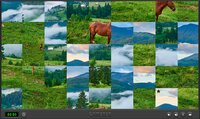Puzzle Fauna 2022 screenshot, image №3439862 - RAWG