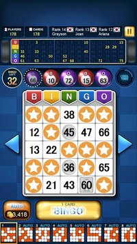 Bingo Master King screenshot, image №2092545 - RAWG