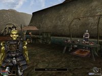 The Elder Scrolls III: Morrowind screenshot, image №290012 - RAWG