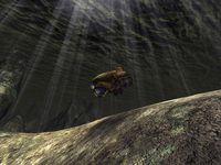 AquaNox 2: Revelation screenshot, image №174419 - RAWG