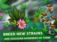 Hempire - Weed Growing Game screenshot, image №927249 - RAWG