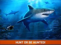 Angry Fish Hunting - Sea Shark Spear-fishing Game screenshot, image №917876 - RAWG